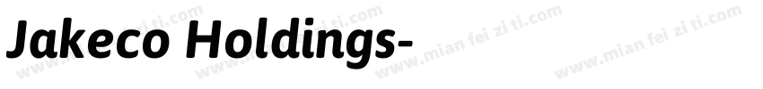Jakeco Holdings字体转换